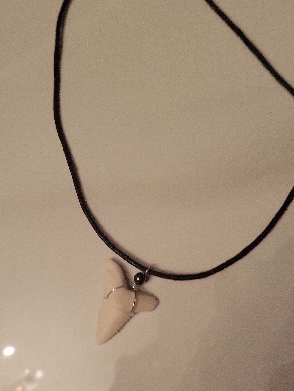 Flax Black Cord Necklace with Cream Shark Tooth Pendant